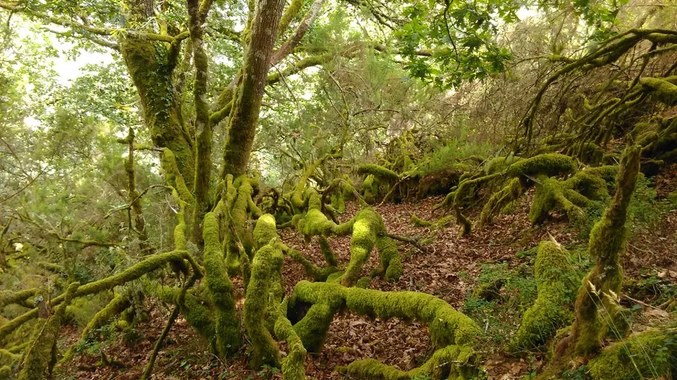 Paisaje de los Oscos, entre prados y aldeas.