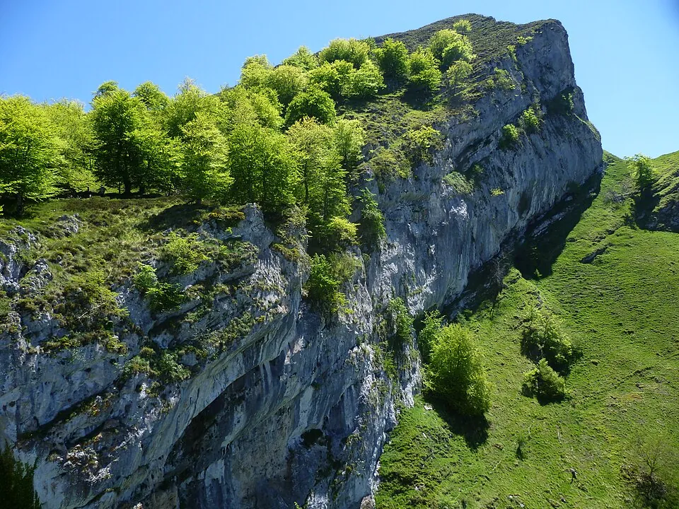 El Parque Natural de Ponga.
