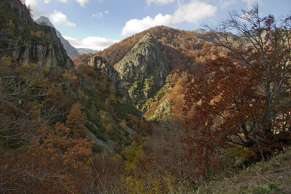 Redes, al fondo de la cuenca.